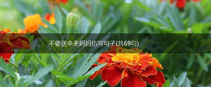 不要送伞来妈妈仿写句子(共69句),第1张