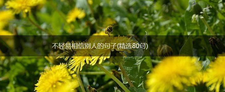不轻易相信别人的句子(精选80句),第1张