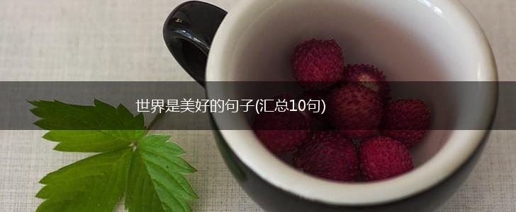 世界是美好的句子(汇总10句),第1张