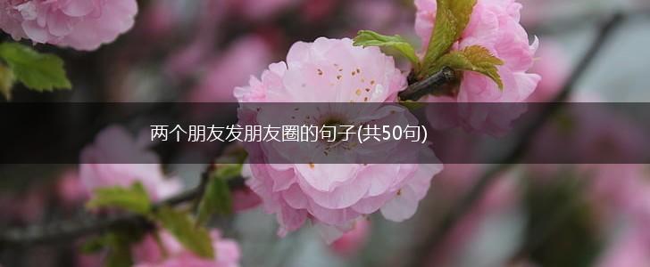 两个朋友发朋友圈的句子(共50句),第1张