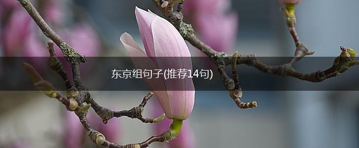 东京组句子(推荐14句),第1张