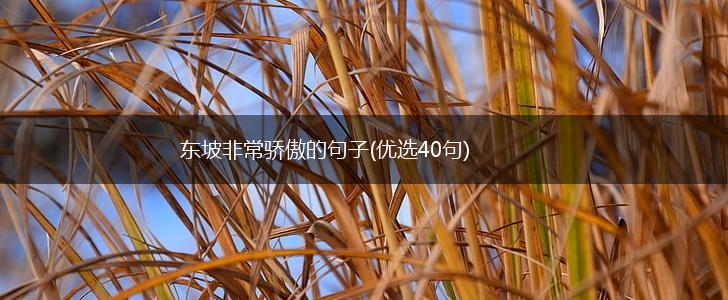 东坡非常骄傲的句子(优选40句),第1张
