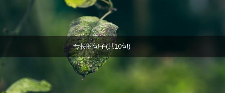 专长的句子(共10句),第1张