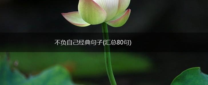 不负自己经典句子(汇总80句),第1张