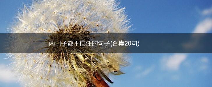 两口子都不信任的句子(合集20句),第1张