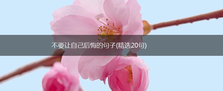 不要让自己后悔的句子(精选20句),第1张