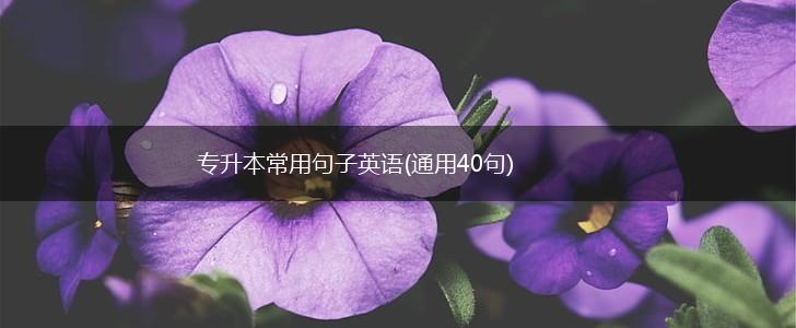 专升本常用句子英语(通用40句),第1张