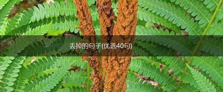 丢掉的句子(优选40句),第1张