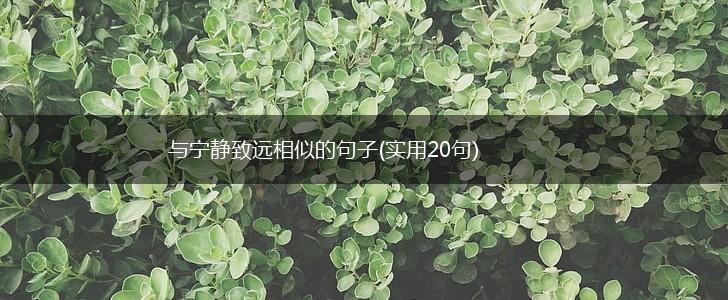 与宁静致远相似的句子(实用20句),第1张