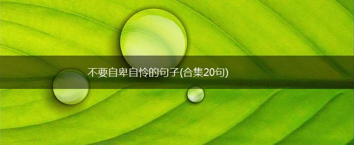不要自卑自怜的句子(合集20句),第1张