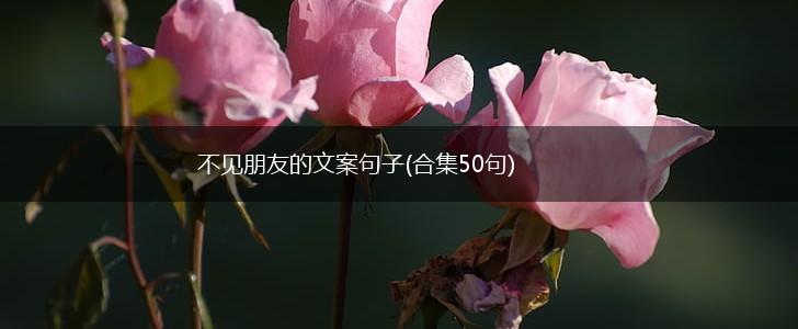 不见朋友的文案句子(合集50句),第1张
