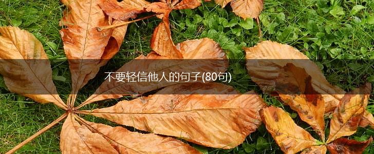 不要轻信他人的句子(80句),第1张