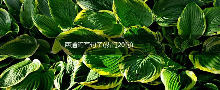 两道缩写句子(热门20句),第1张