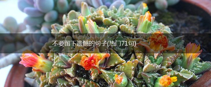 不要留下遗憾的句子(热门71句),第1张