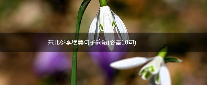 东北冬季绝美句子简短(必备10句),第1张