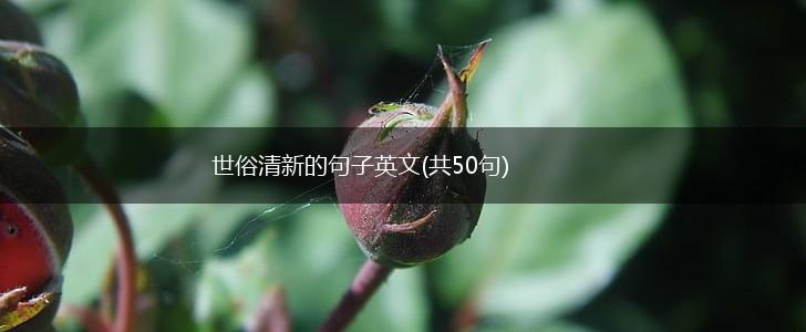 世俗清新的句子英文(共50句),第1张