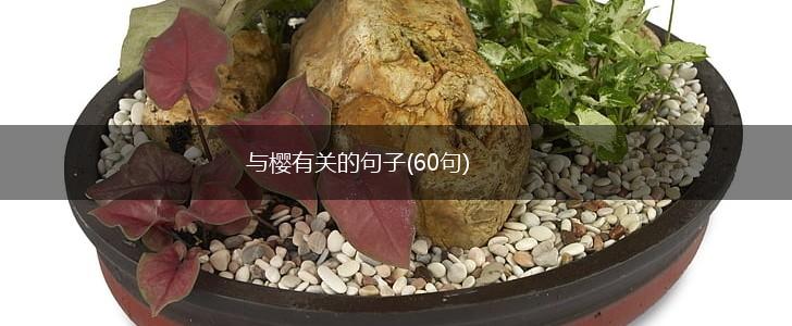 与樱有关的句子(60句),第1张