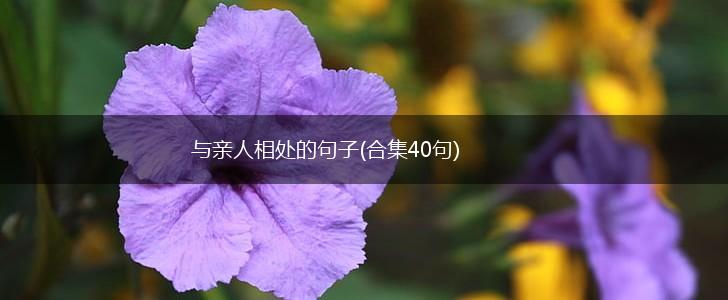 与亲人相处的句子(合集40句),第1张