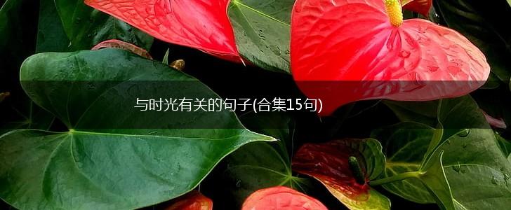与时光有关的句子(合集15句),第1张