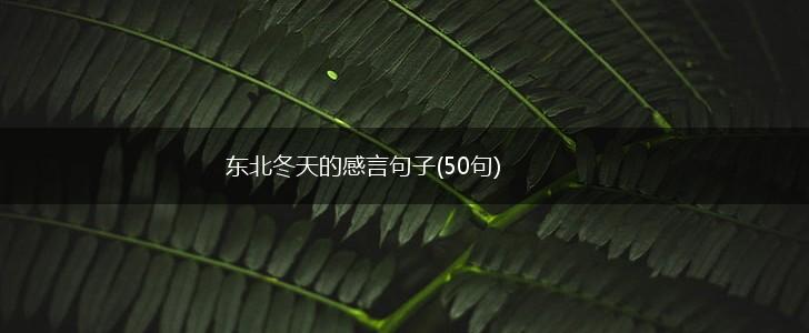 东北冬天的感言句子(50句),第1张