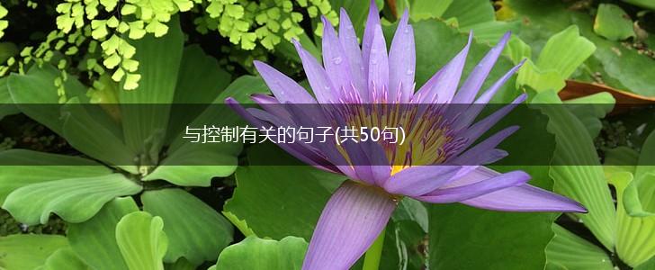 与控制有关的句子(共50句),第1张