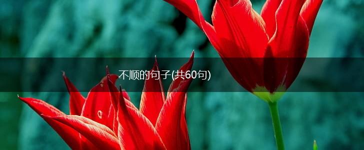 不顺的句子(共60句),第1张