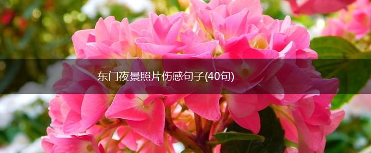 东门夜景照片伤感句子(40句),第1张