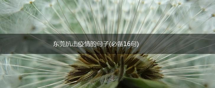 东莞抗击疫情的句子(必备16句),第1张