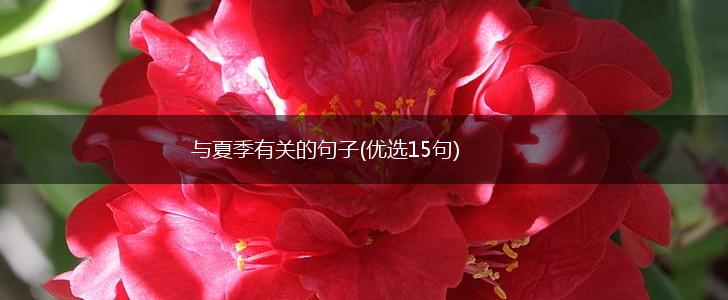 与夏季有关的句子(优选15句),第1张