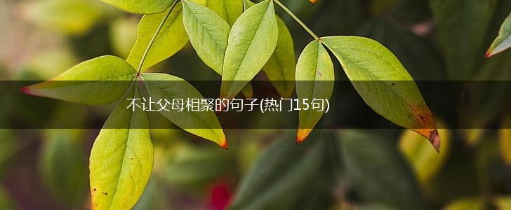 不让父母相聚的句子(热门15句),第1张