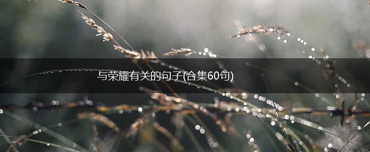 与荣耀有关的句子(合集60句),第1张