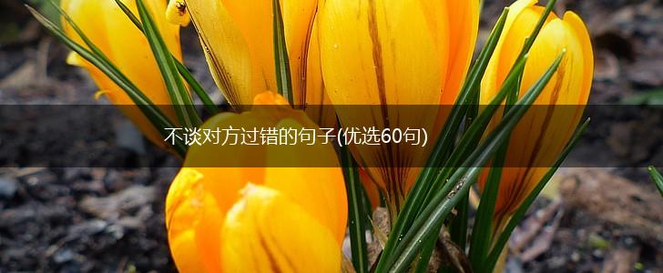 不谈对方过错的句子(优选60句),第1张