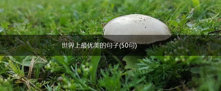 世界上最优美的句子(50句),第1张