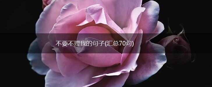 不要不理我的句子(汇总70句),第1张