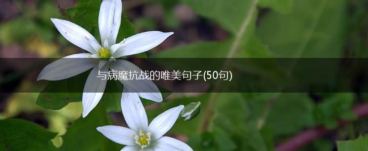 与病魔抗战的唯美句子(50句),第1张