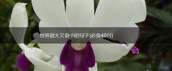 世界很大又很小的句子(必备40句),第1张