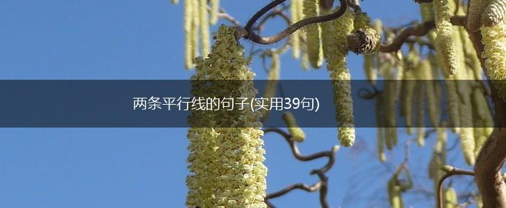 两条平行线的句子(实用39句),第1张
