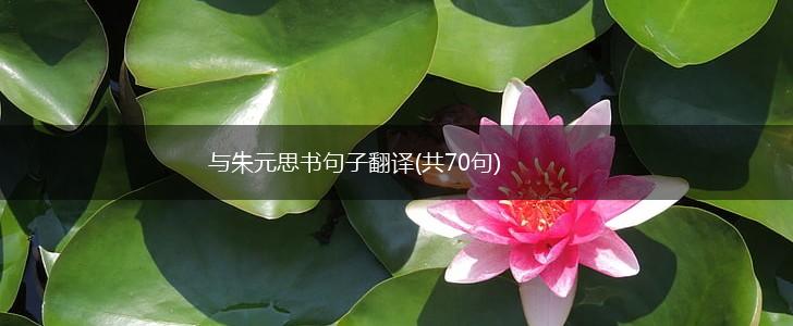 与朱元思书句子翻译(共70句),第1张