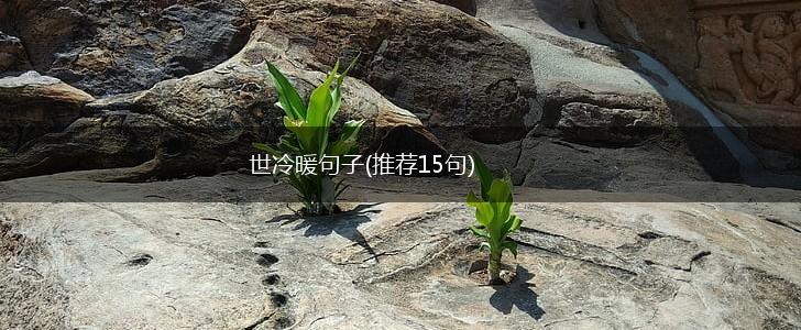 世冷暖句子(推荐15句),第1张
