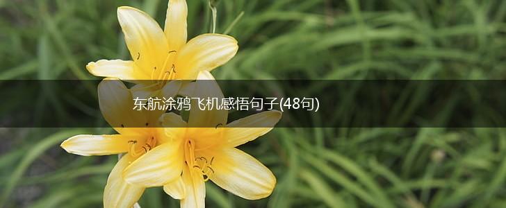 东航涂鸦飞机感悟句子(48句),第1张