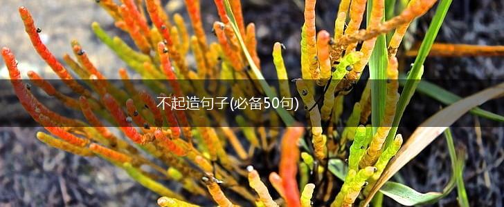 不起造句子(必备50句),第1张