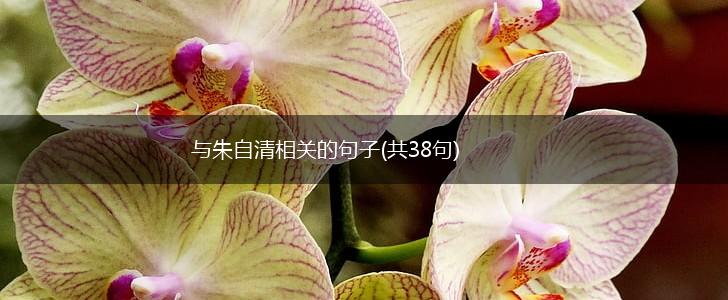 与朱自清相关的句子(共38句),第1张