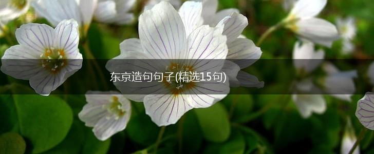 东京造句句子(精选15句),第1张