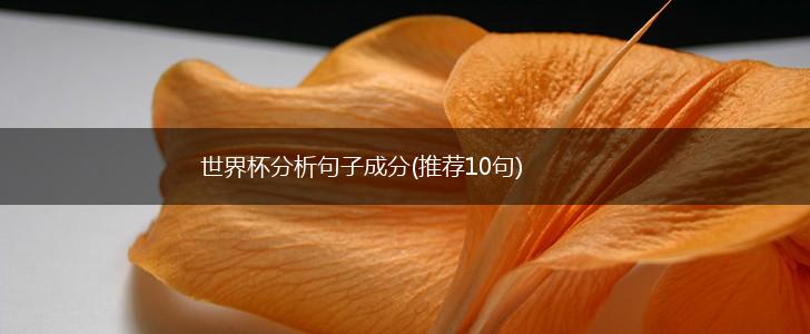 世界杯分析句子成分(推荐10句),第1张