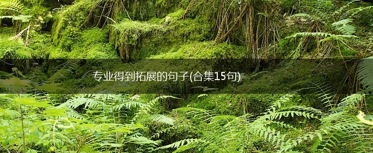 专业得到拓展的句子(合集15句),第1张
