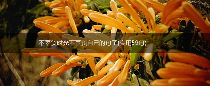 不辜负时光不辜负自己的句子(实用59句),第1张