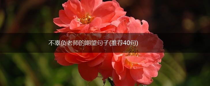 不辜负老师的期望句子(推荐40句),第1张