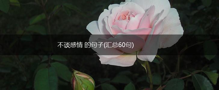 不谈感情 的句子(汇总60句),第1张