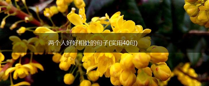 两个人好好相处的句子(实用40句),第1张