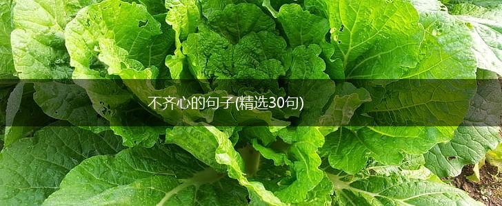 不齐心的句子(精选30句),第1张